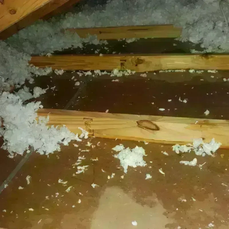 Attic Water Damage in Madrid, IA