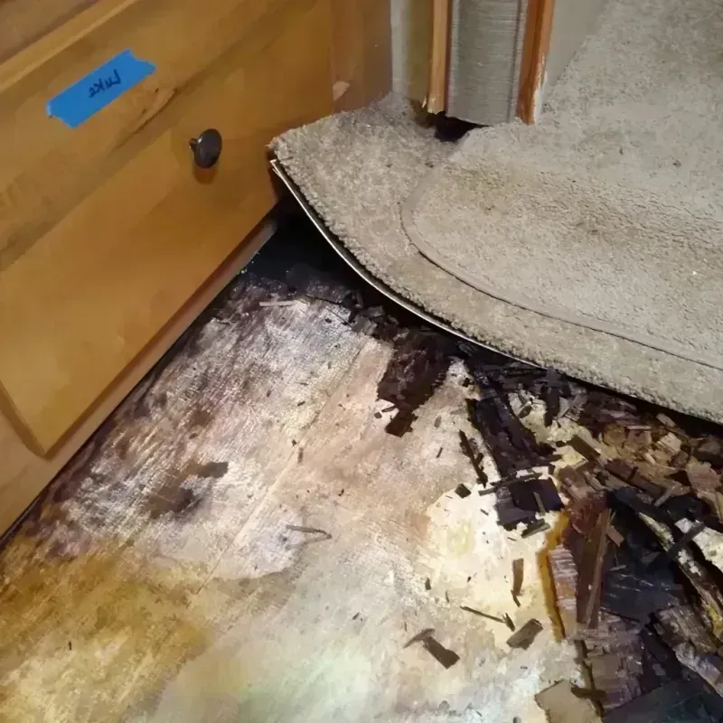 Wood Floor Water Damage in Madrid, IA